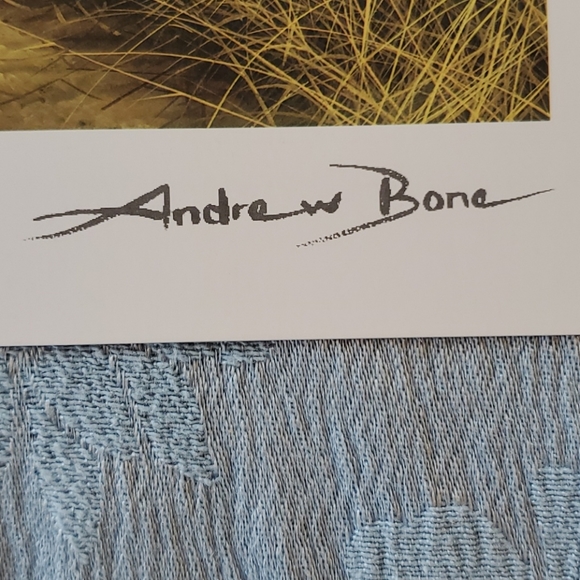 ANDREW BONE, "African Mystique" seriolithograph - Picture 3 of 6